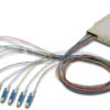 Cassetta di Giunzione Attrezzata con 12 Pigtail Fibra Monomodale OS2 LC/APC 9/125 2m