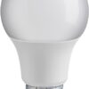 Lampada LED Globo E27 Bianco Caldo 6W, Classe F