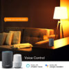 Lampadina LED E27 con Filamento Smart Controllo Vocale Alexa F, R9078